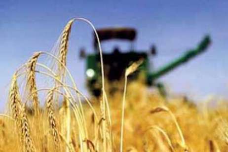 سیمای کشاورزی خراسان رضوی سیمای کشاورزی خراسان رضوی