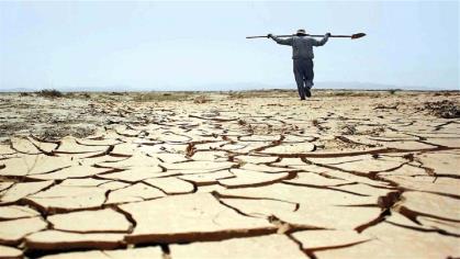 سایه سنگین خشکسالی بر سر صنایع تبدیلی و غذایی