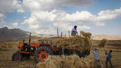 قیمت تولید در بخش‌های مختلف کشاورزی ۱۹ تا ۱۶۲ درصد افزایش یافت