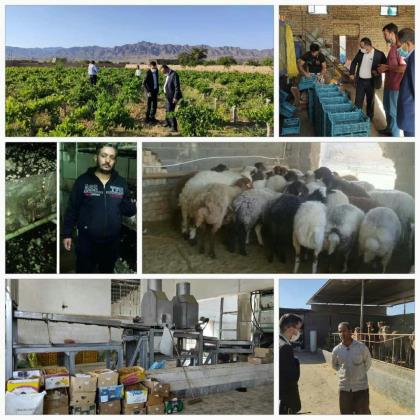 سرمایه گذاری بیش از 370 میلیارد ریال در راستای توانمندسازی مردم کاشمر و خلیل آباد